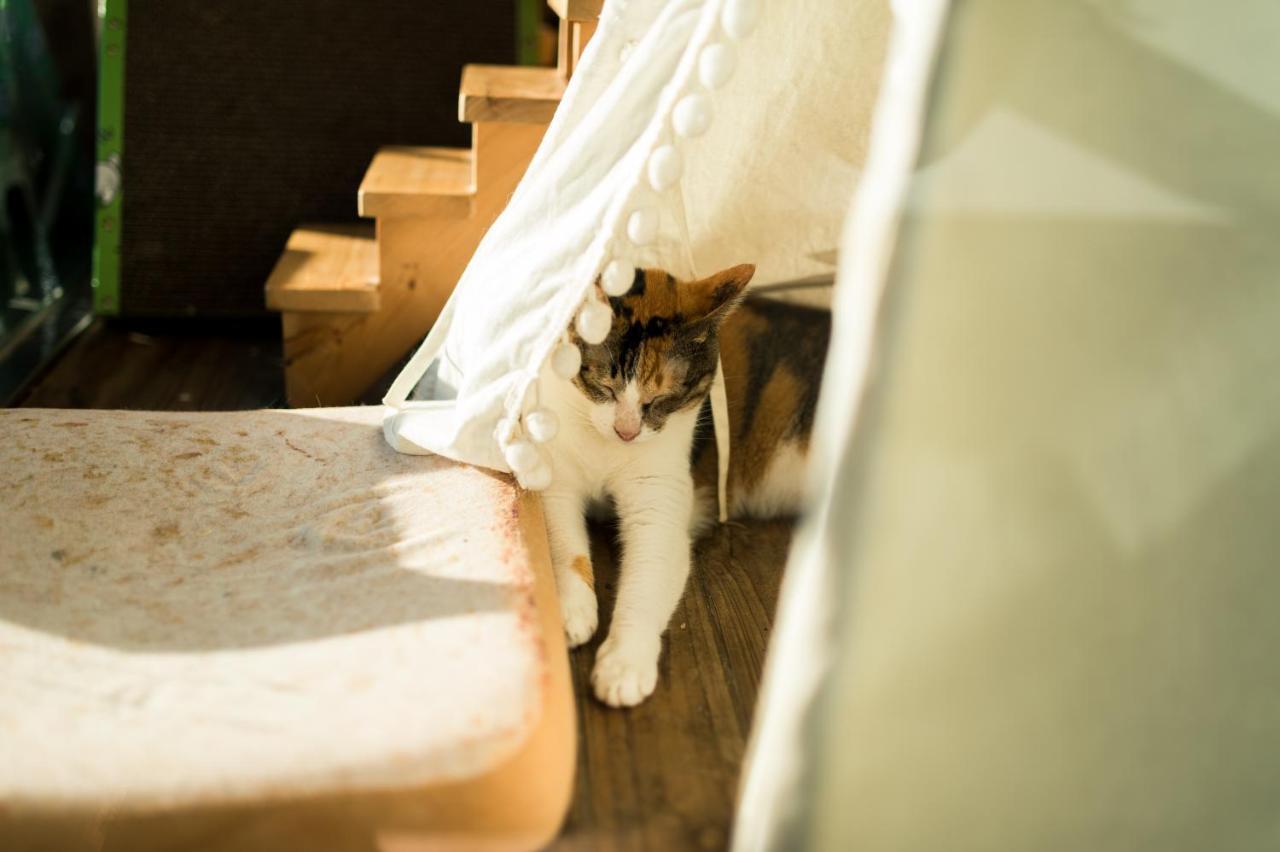 Hello Make Yourself At Home Kenting Eksteriør bilde